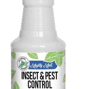 Peppermint Spray for Bugs