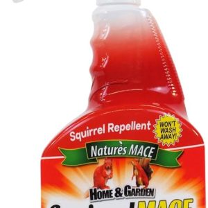 squirrel repellent spray