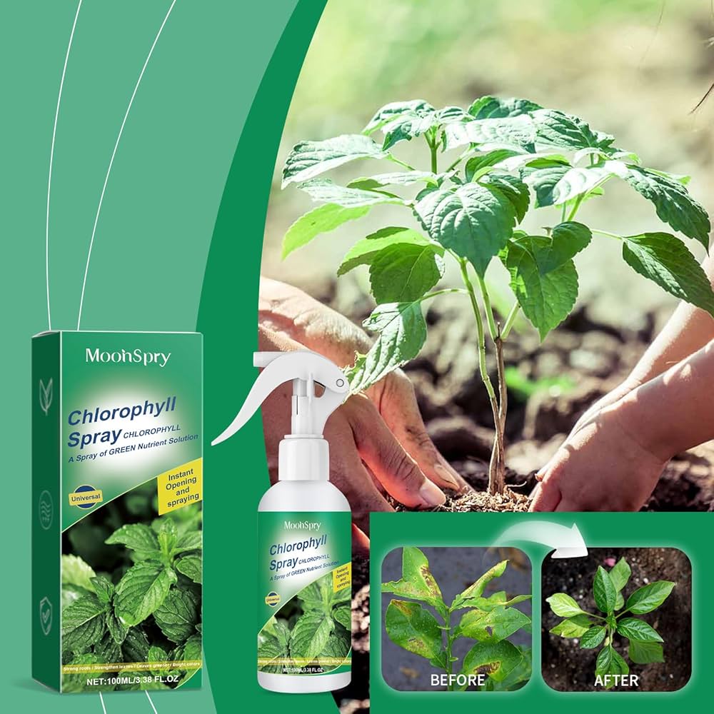 Best Flower Spray Solutions for Healthy Plants in 2025 1 Flower Spray