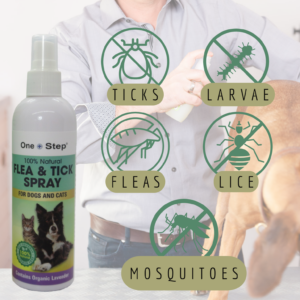 Flea and Tick Spray
